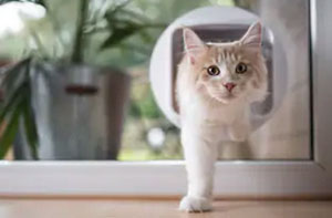 Cat Flap Fitter Rochdale Greater Manchester (OL11)