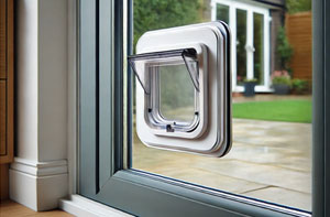 Fitting a Cat Flap in  Glass Door in Fleet