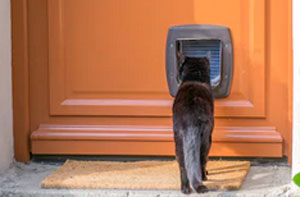 Cat Flap Installers Oxford (OX1)