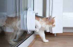 Cat Flap Installers UK