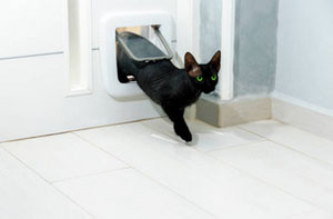 Choosing the Right Cat Flap for Your Home in Bromham