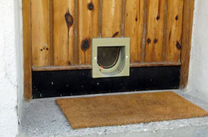 Cat Flap Fitters Hereford UK